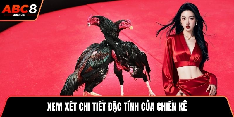 Xem xét chi tiết đặc tính của chiến kê